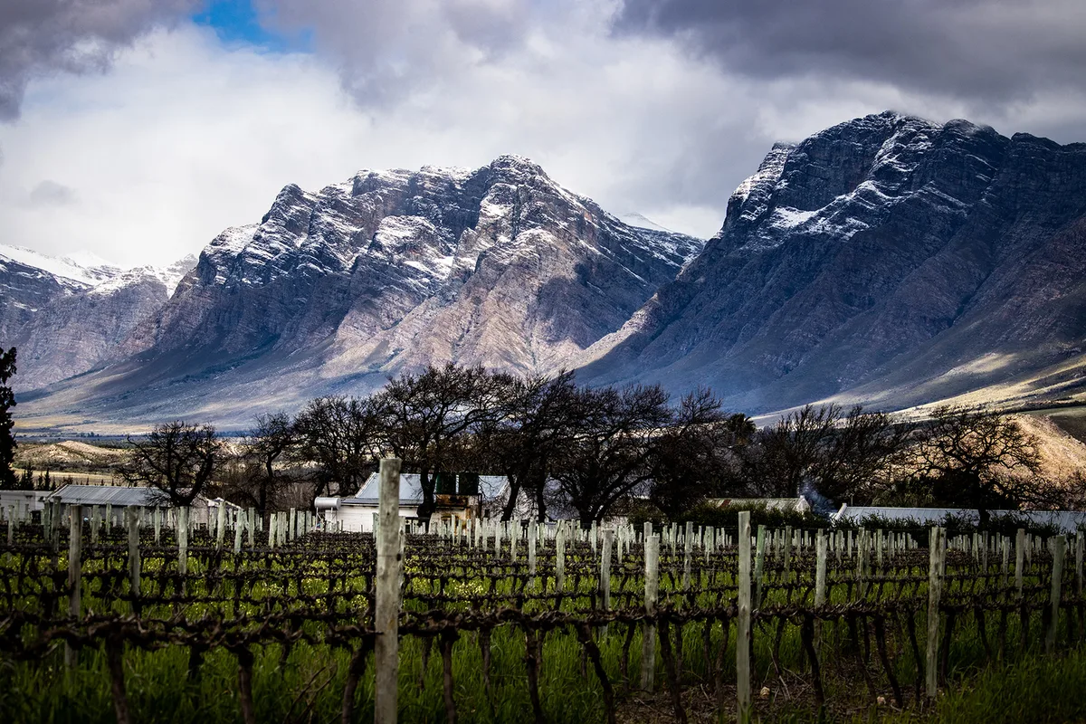 Seven Oaks Vineyard Cottages — 2