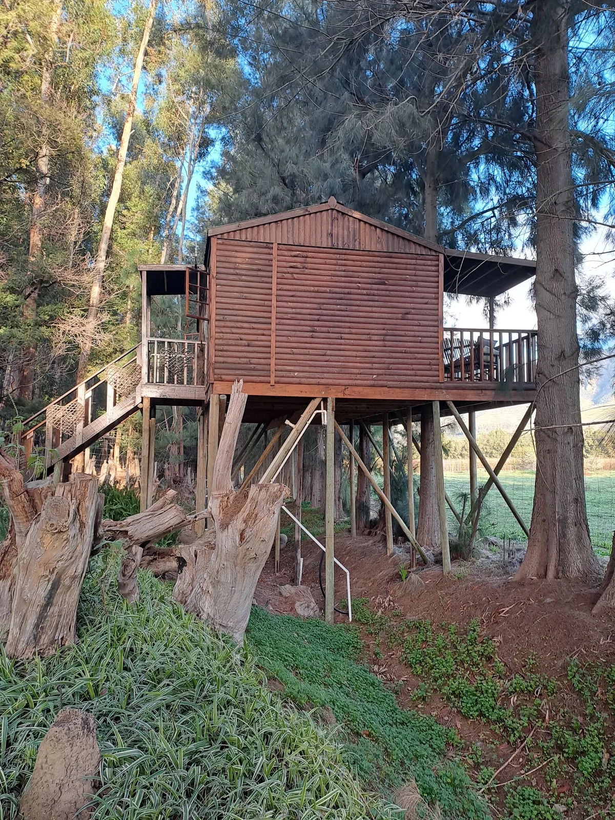 Vindoux Tree House Guest Farm & Spa — 3