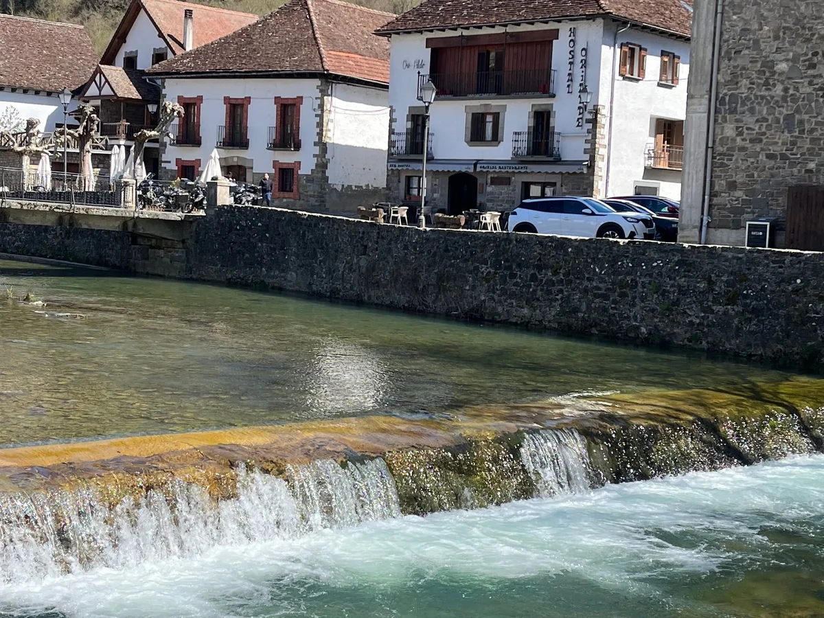 Aizkolarienea