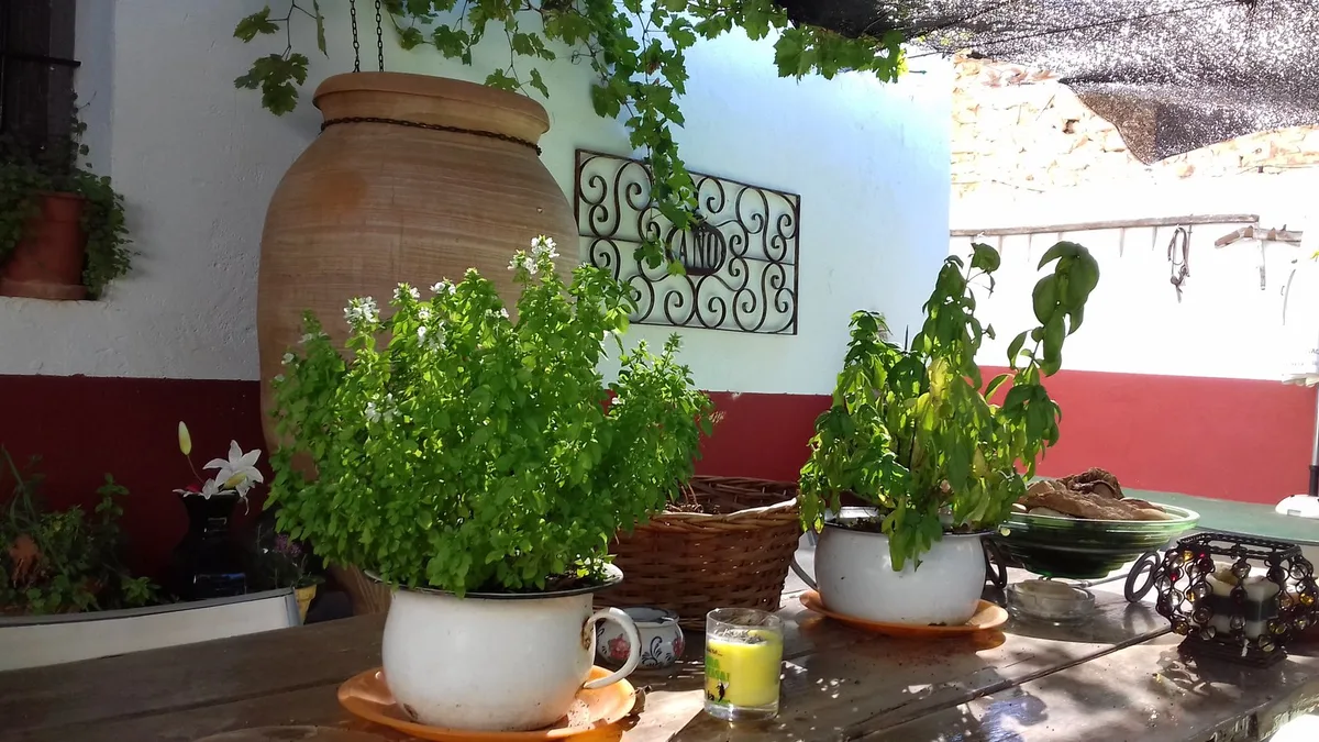 Casa Rural “Los Emilietes”