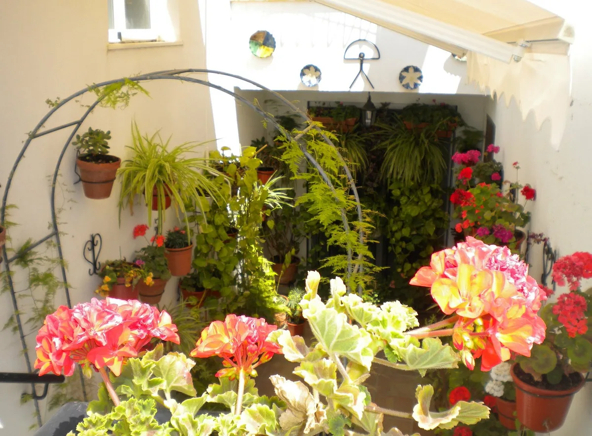 Casa en Cabo de Gata — 2
