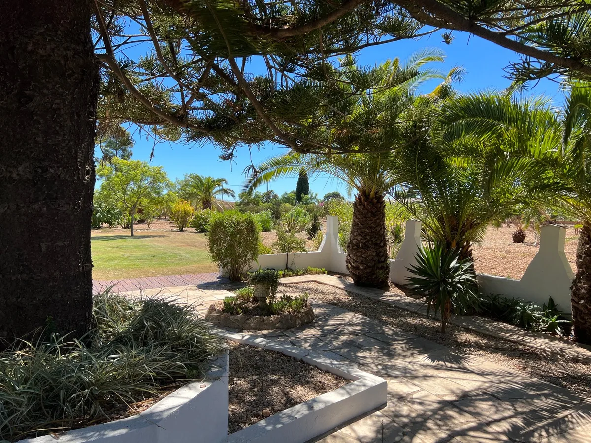 Las Palmeras