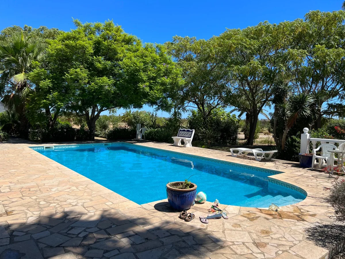 Las Palmeras — 2