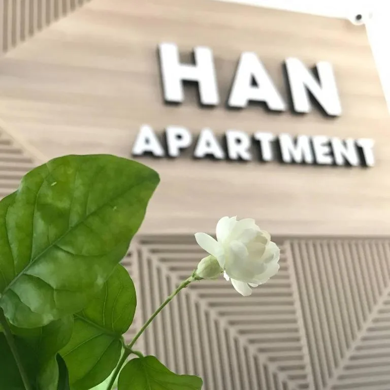 Han Apartment — 3