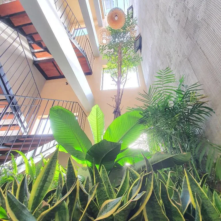 Cagina Boutique Hostel — 4