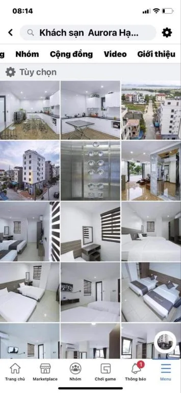 Aurora halong — 3