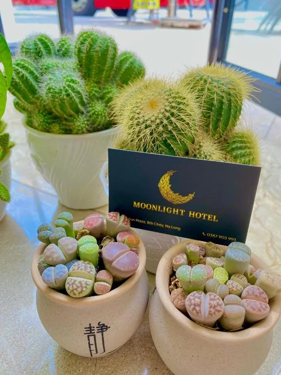 MOONLIGHT HOTEL — 4