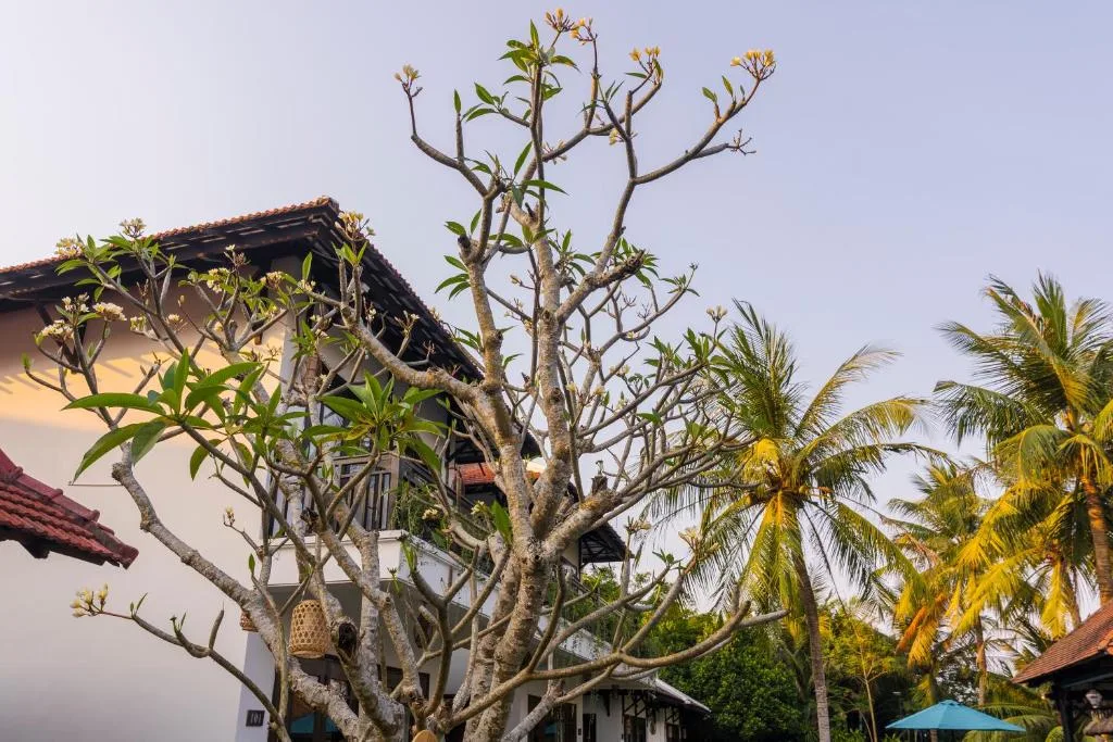 Ancient Retreat Hoi An - Riverfront Resort — 5
