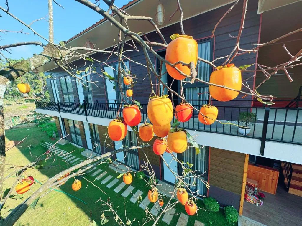 Amy homestay mộc châu — 4