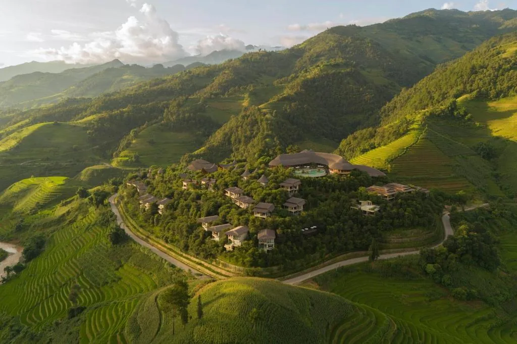 Garrya Mù Cang Chải — 5