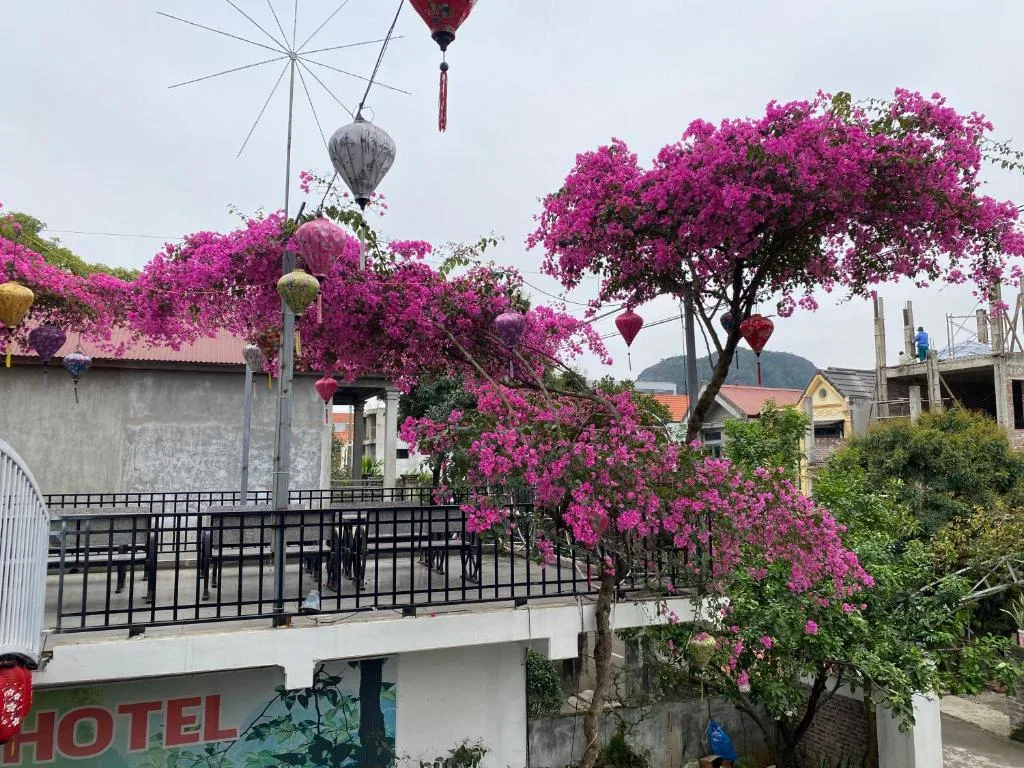 Elizabeth Hotel Tam Coc — 5
