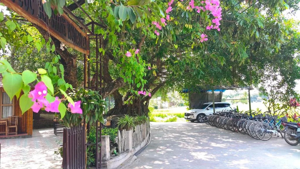 Tam Coc Sunshine Homestay — 3