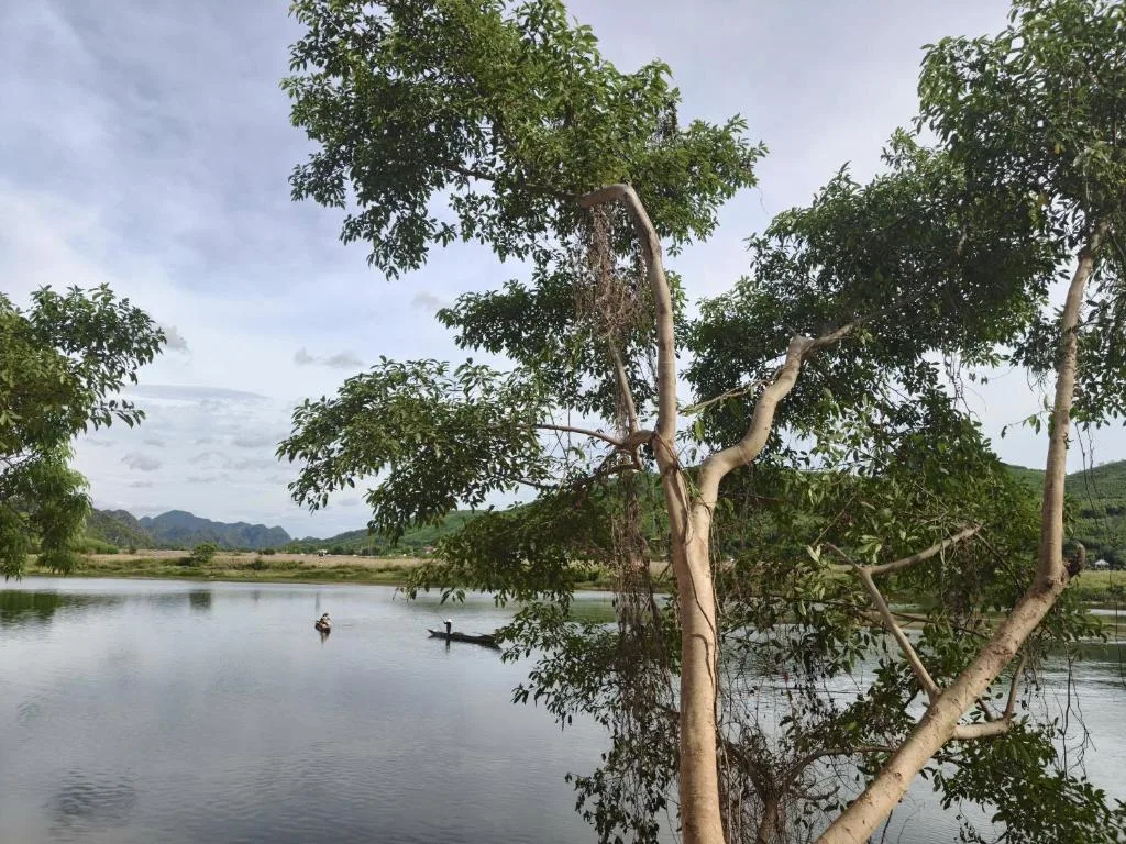 Hugo Homestay — 5