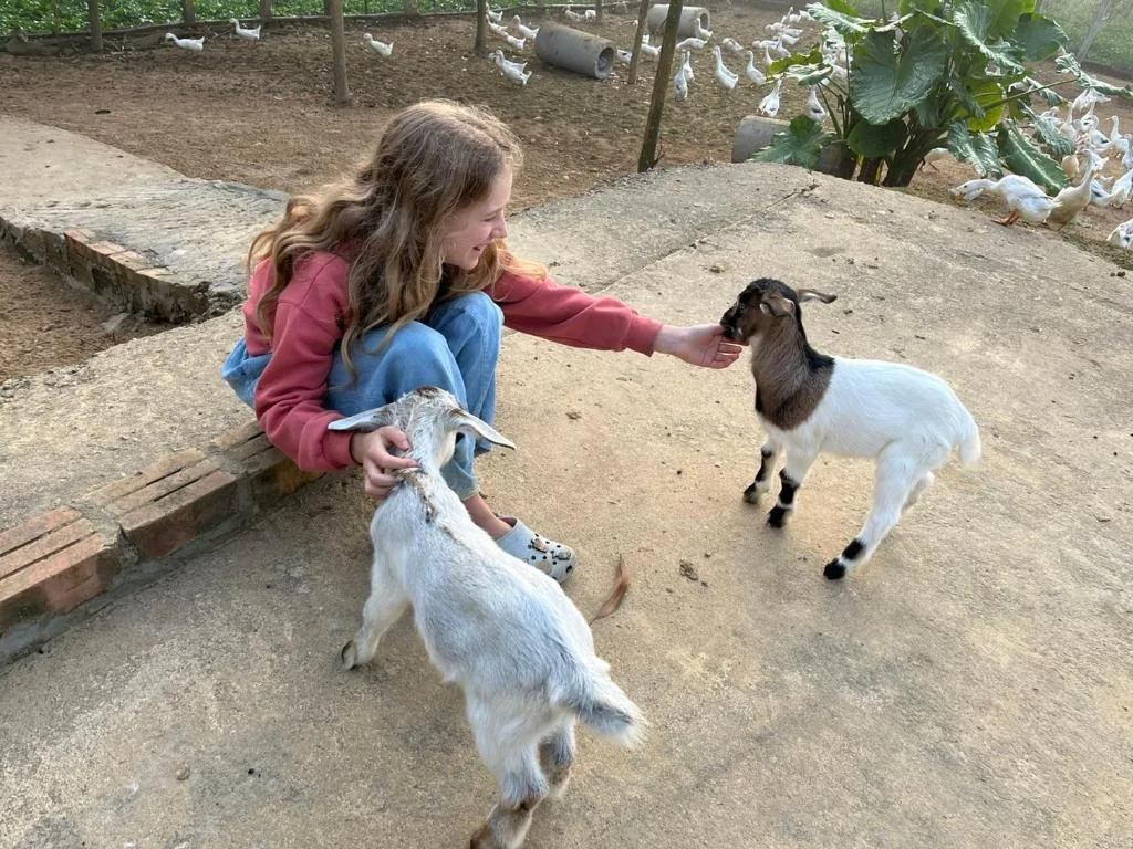 Phong Nha Mini Farm - Nguyen Shack