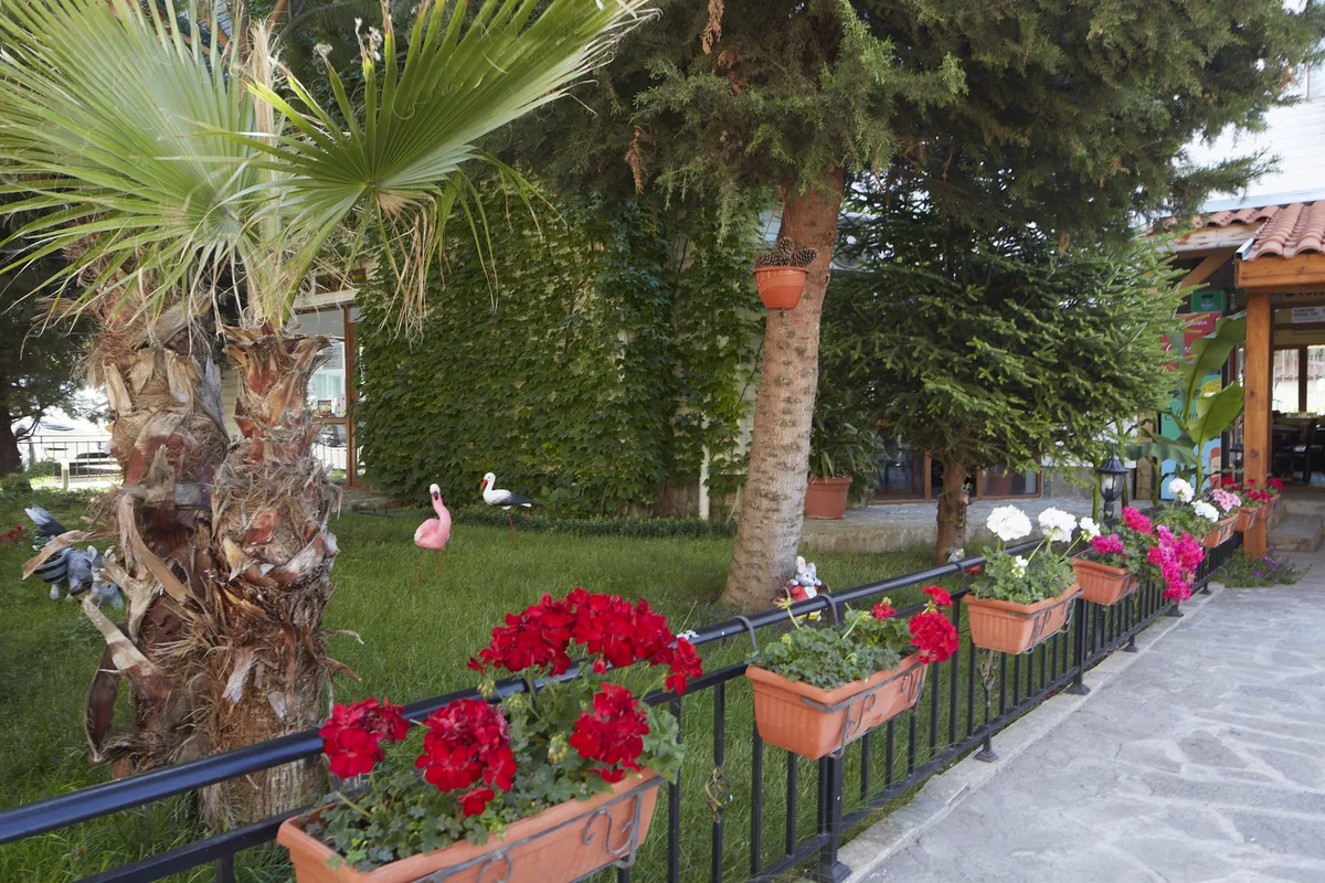 Complex Moskoyani — 4