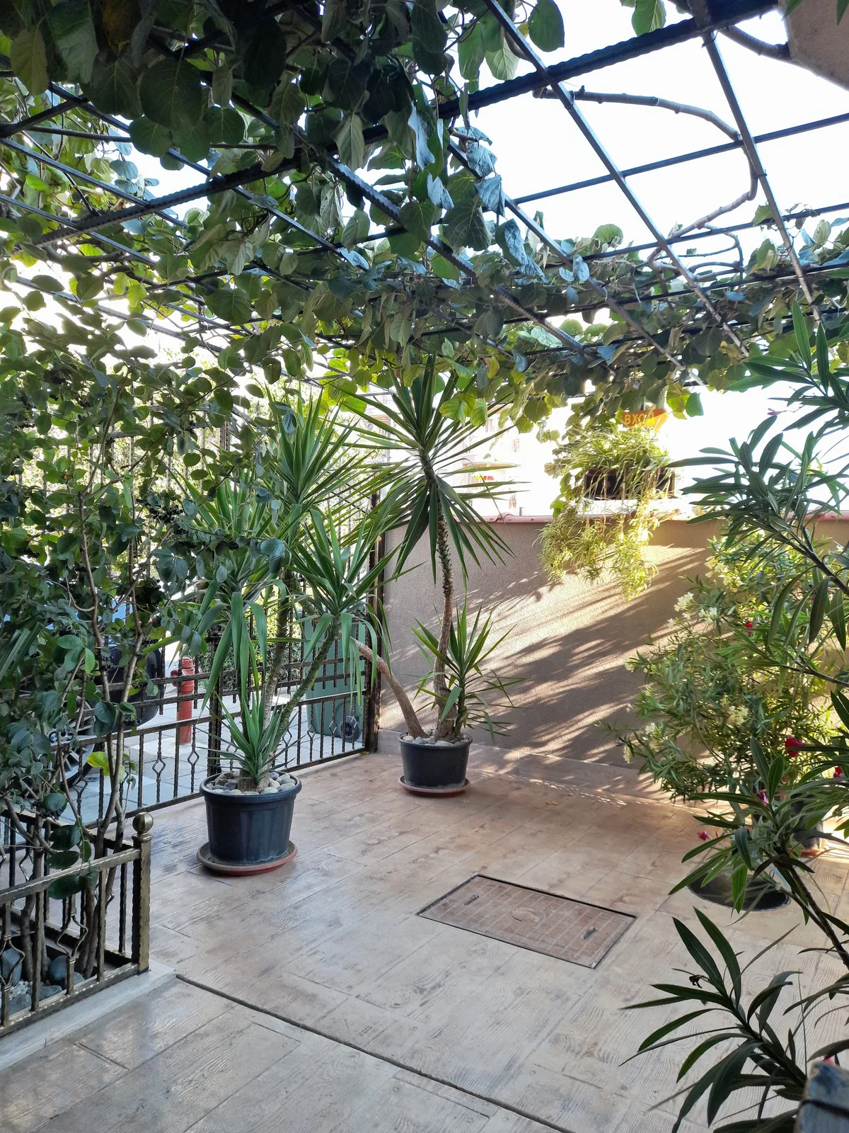 Dracena Guest House — 2
