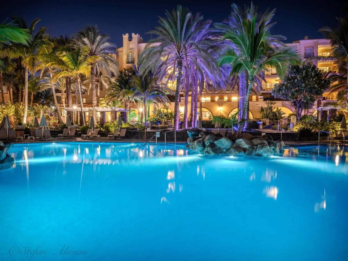 Palm Oasis