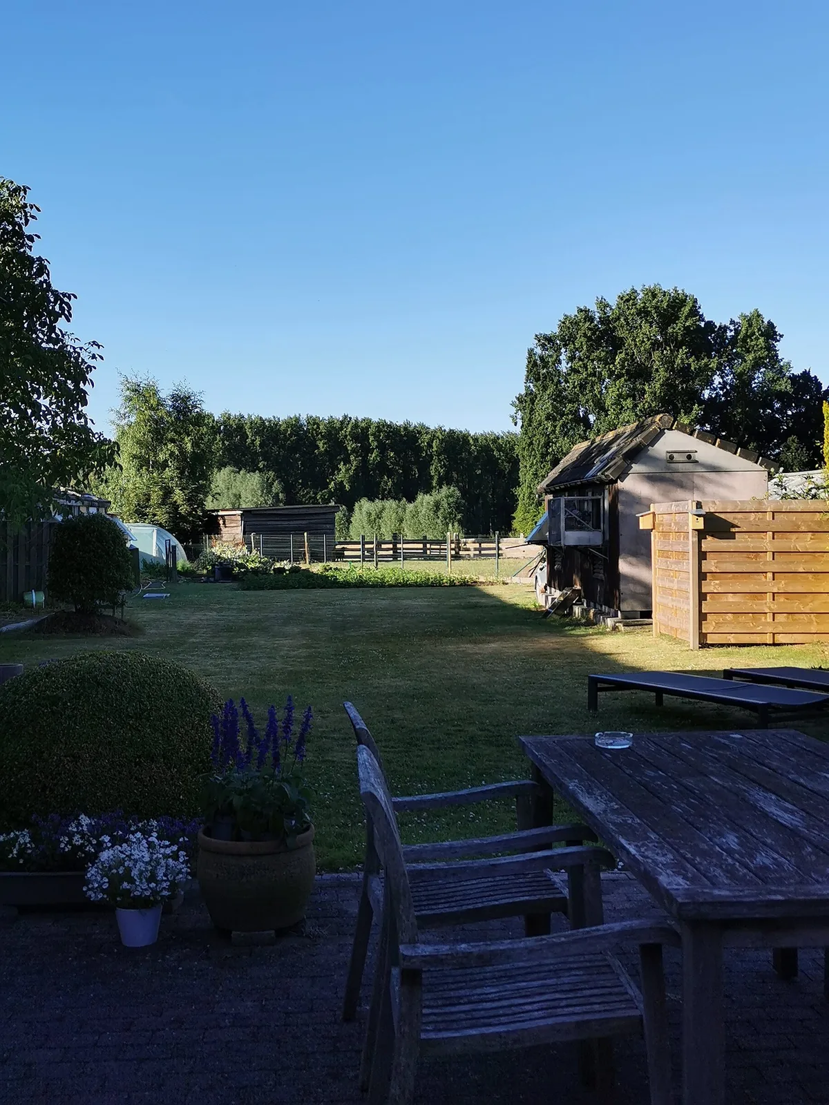 B&B Laurus — 5