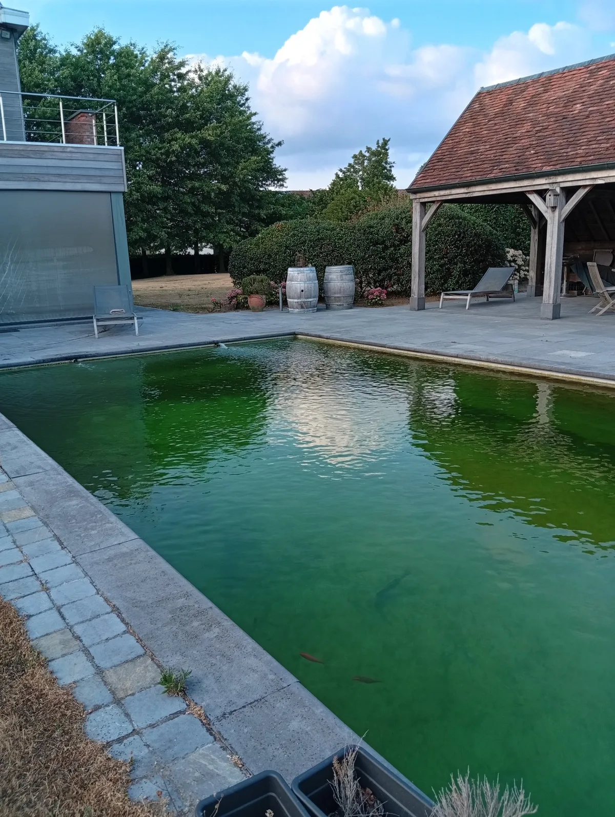 'T Baertshof — 4