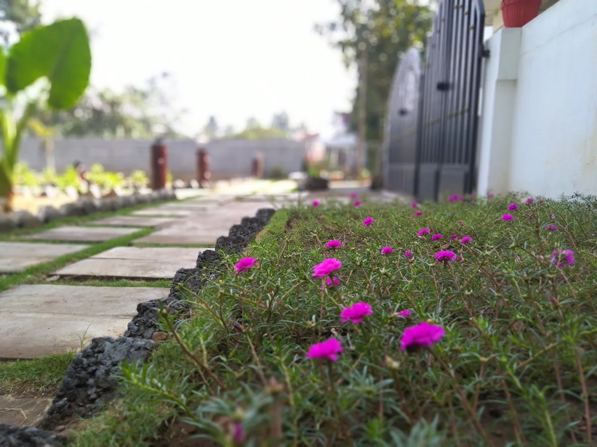 THE HEAVEN RESORT — 5
