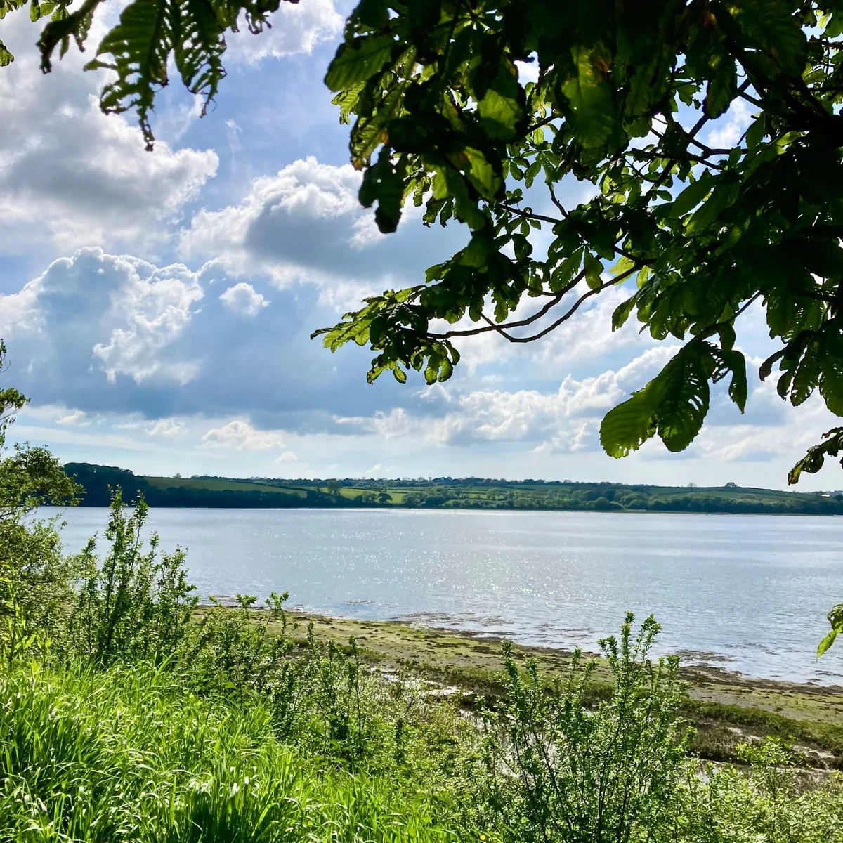 New Park Landshipping — 5