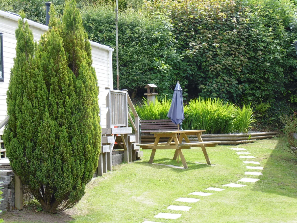 Trees Caravan Park — 3