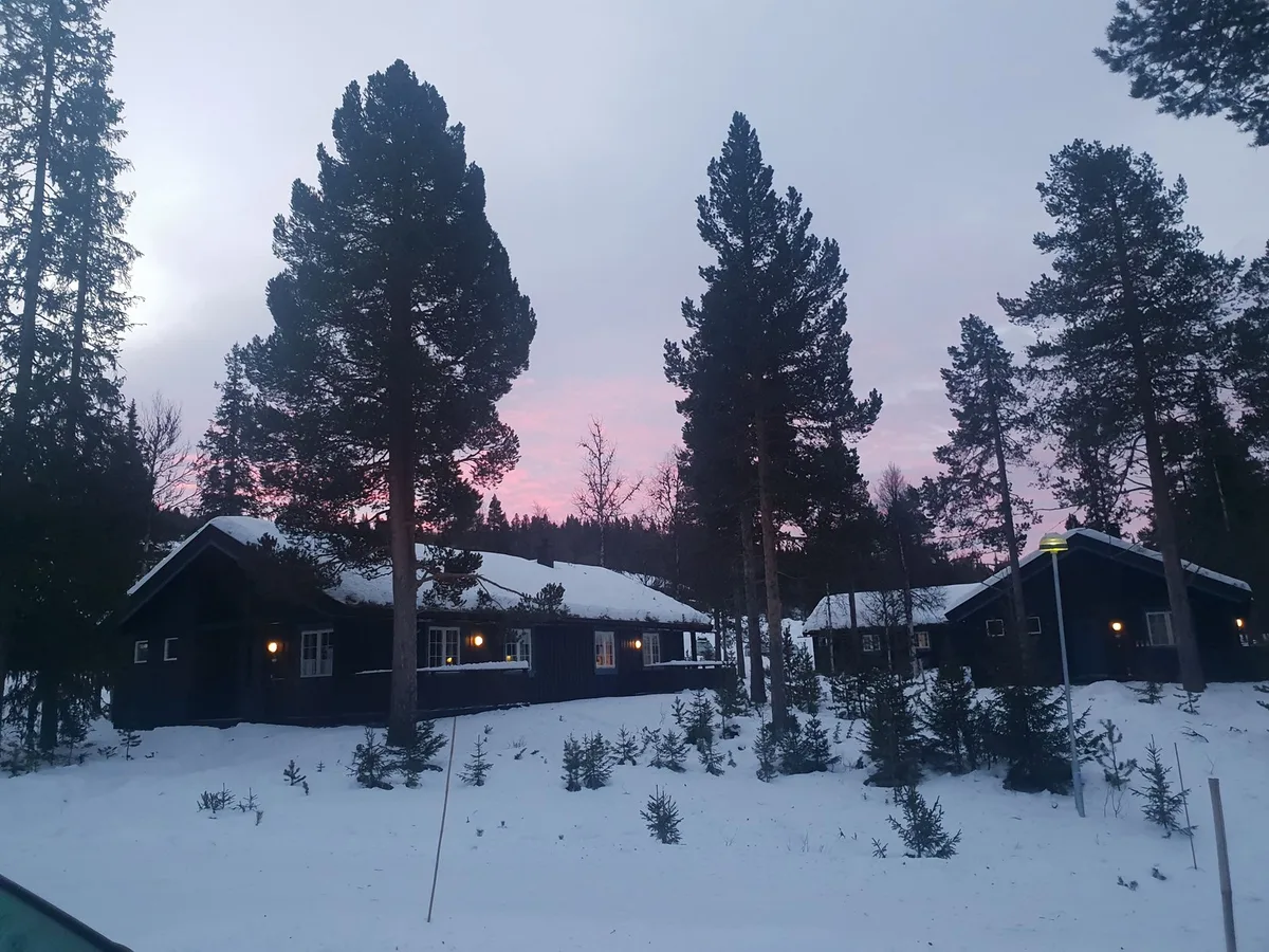 Gaalaa Fjellgrend — 2