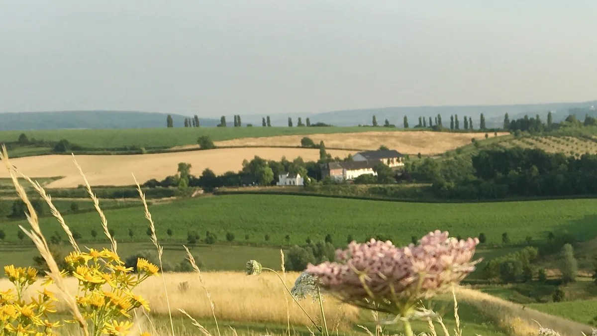 Dalauro Next Bed & Breakfast (Eys, Zuid-Limburg) — 3