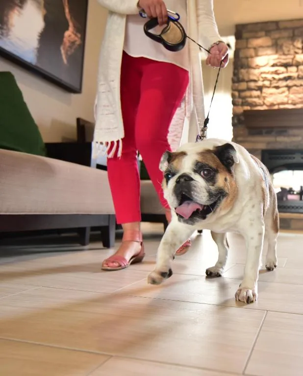 Staybridge Suites - Wisconsin Dells - Lake Delton by IHG — 3