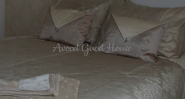 Avocet Guest House — 4