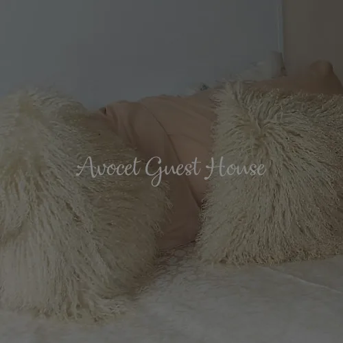 Avocet Guest House — 5