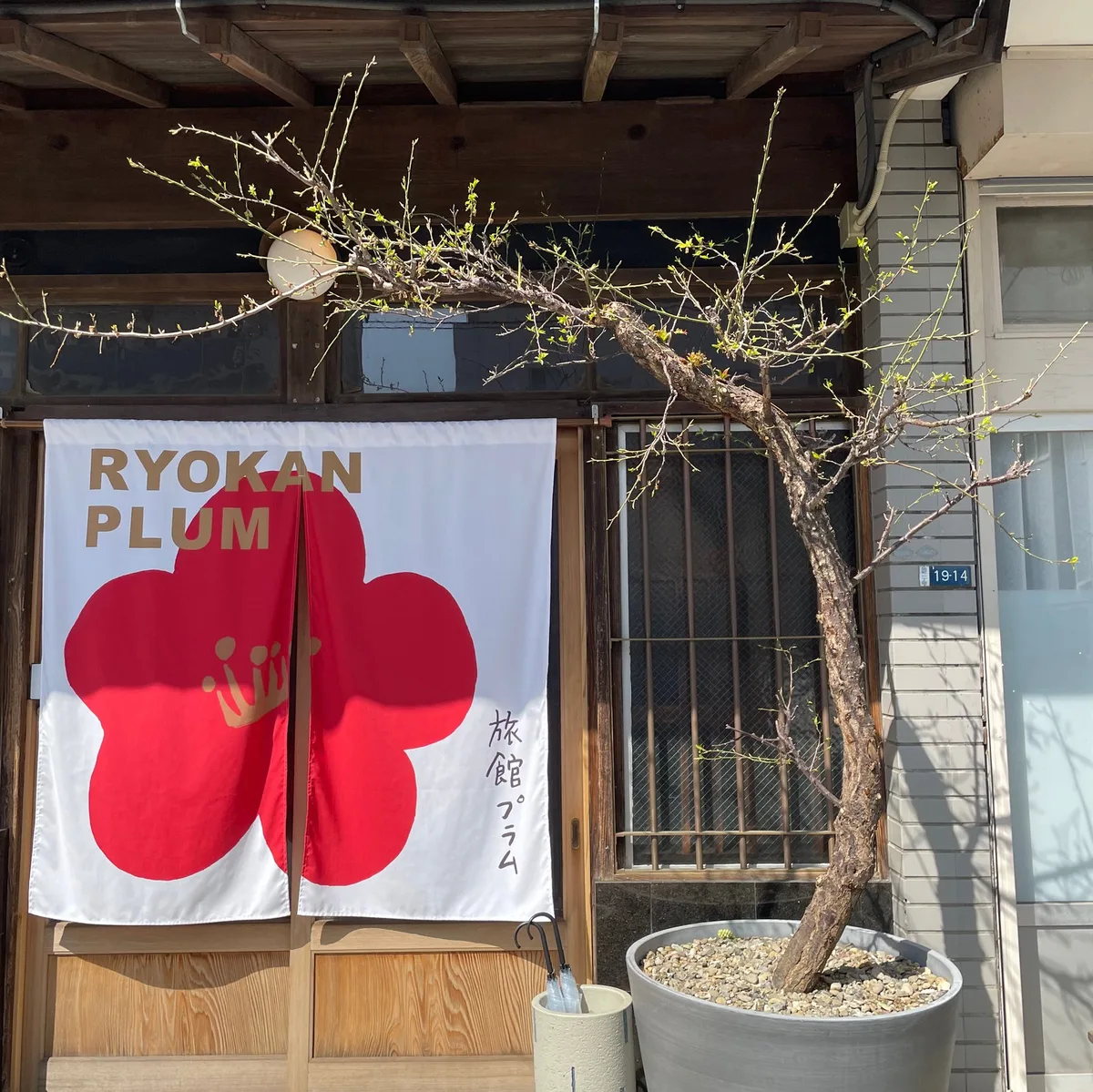 RYOKAN PLUM — 3