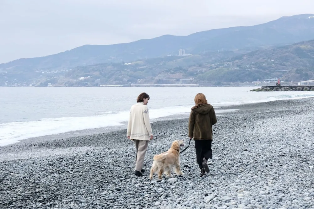 いぬと海辺 — 2
