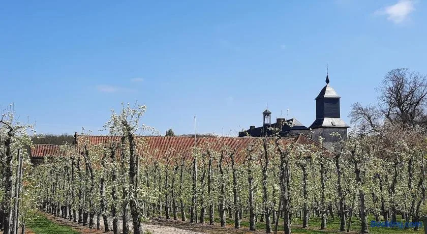 Met een knipoog naar de fruitstreek! - Entire Place