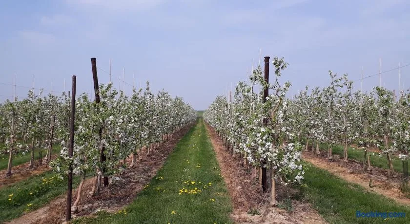 Met een knipoog naar de fruitstreek! - Entire Place — 4