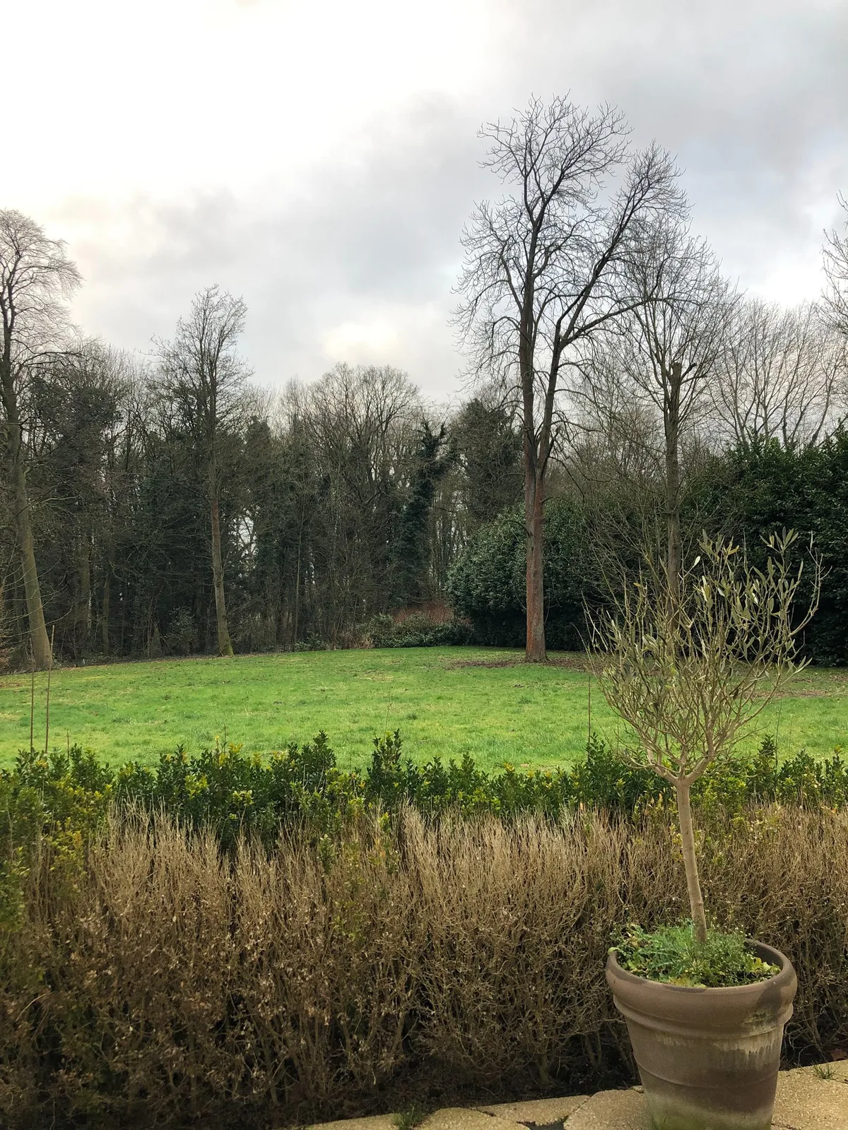Hotel Malcot — 5