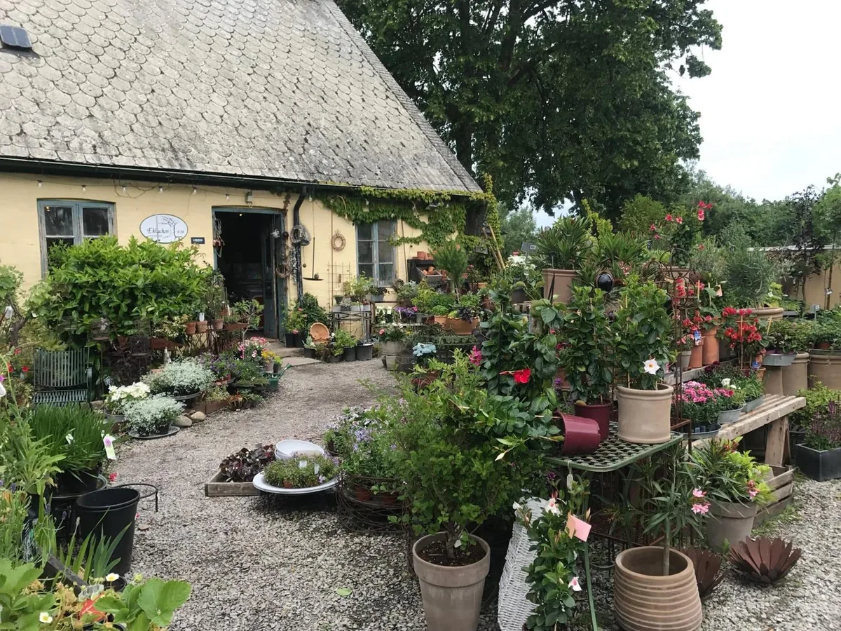 Brohuspark Bed & Breakfast