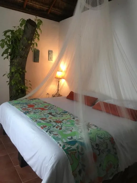 Ecovergel Riviera Maya — 2
